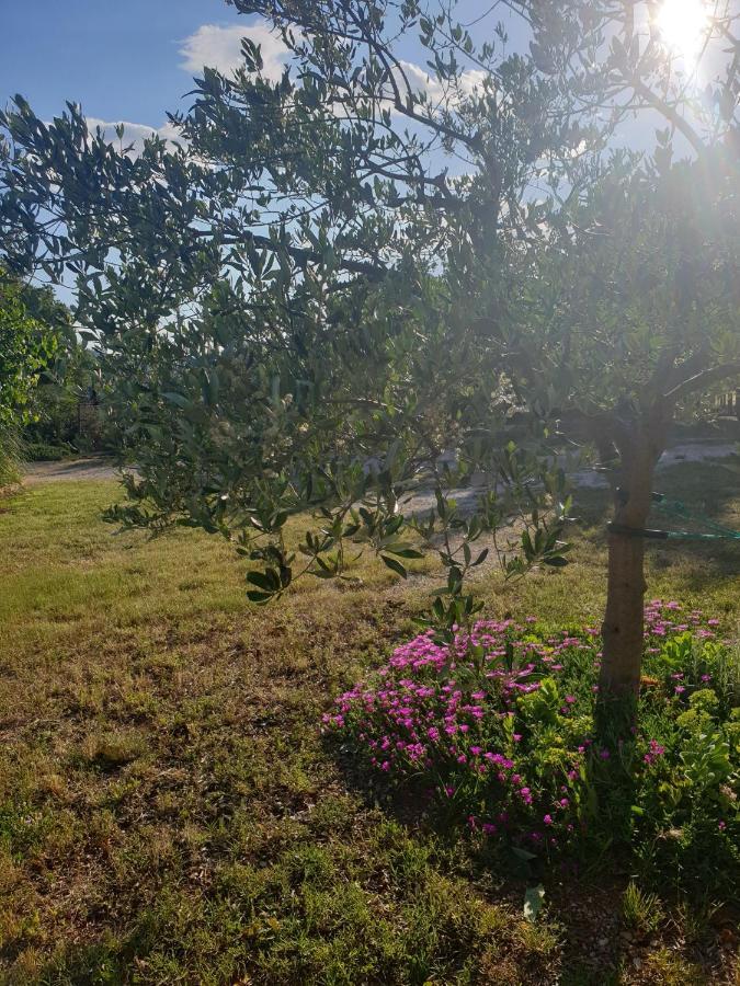 Apartmani Tomić Seline Bagian luar foto