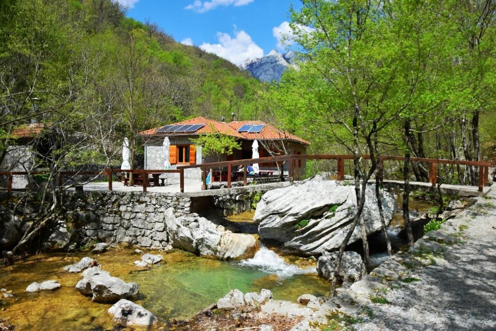 Apartmani Tomić Seline Bagian luar foto